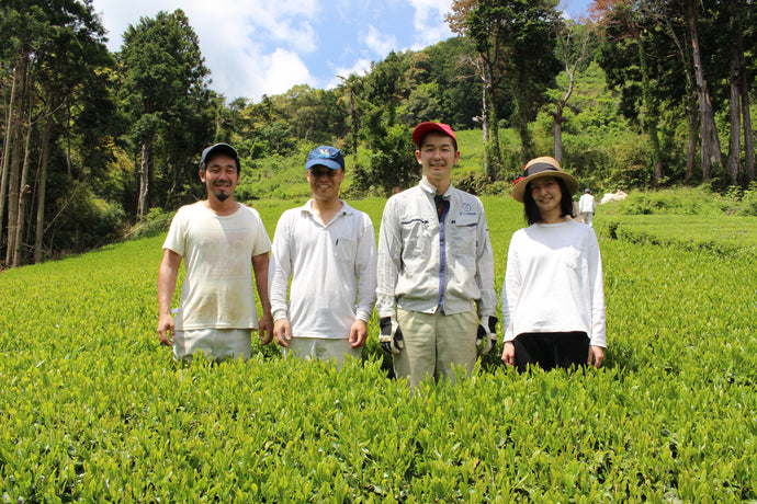 静岡の誇る究極の日本茶の生産者「葉っピイ向島園」さん